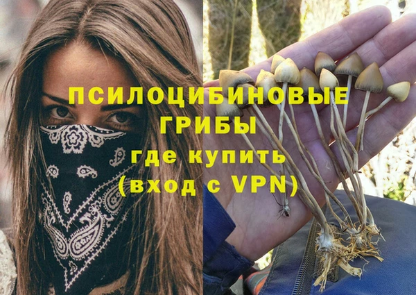 мяу мяу мука Лагань