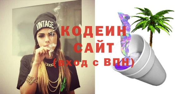 соль ск Дмитров