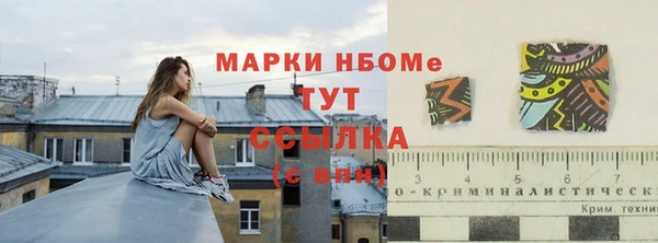 соль ск Дмитров