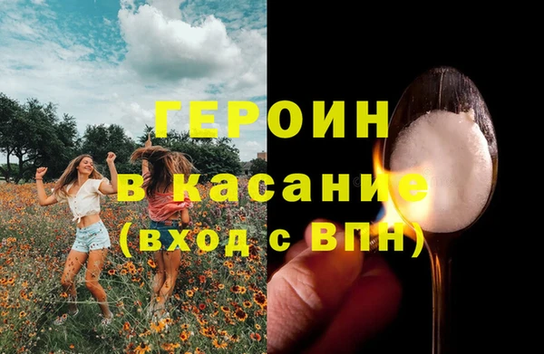 прущие грибы Ладушкин