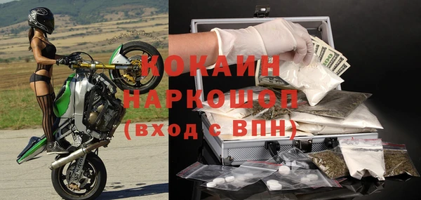 соль ск Дмитровск
