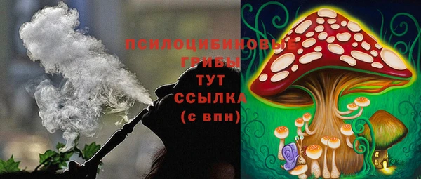 соль ск Дмитров
