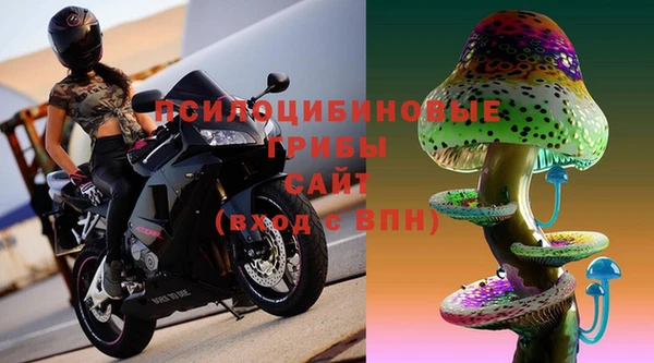 соль ск Дмитров