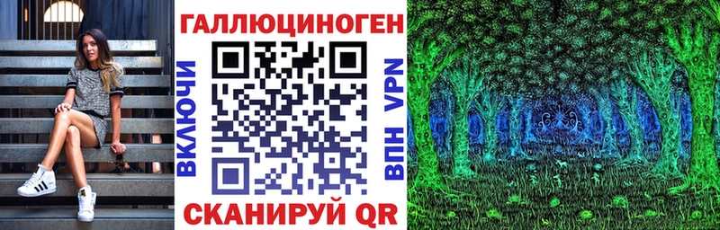 где купить наркоту Змеиногорск Псилоцибиновые грибы Psilocybine cubensis